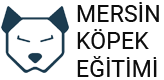 Mersin Köpek Eğitimi