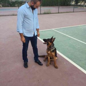 Adana Köpek Eğitim Merkezi